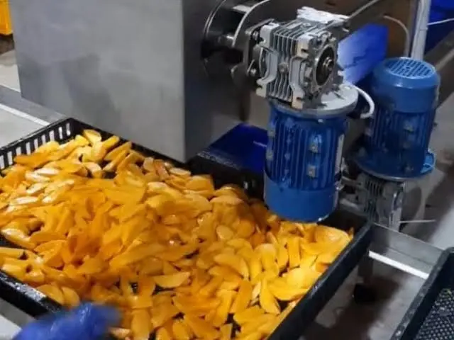 Fruit and Vegetable Dryer